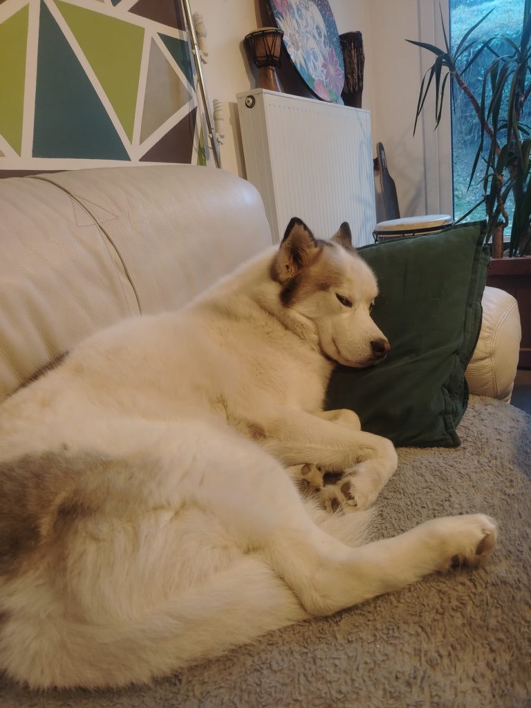 Photo de  — 10-02-2026 11:28:45